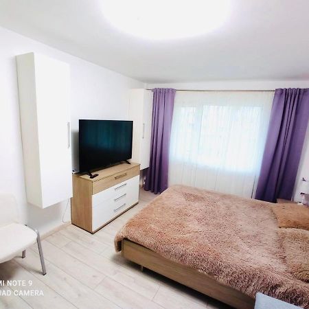 Апартаменты Garsoniera Daniela Тыргу-Окна Экстерьер фото