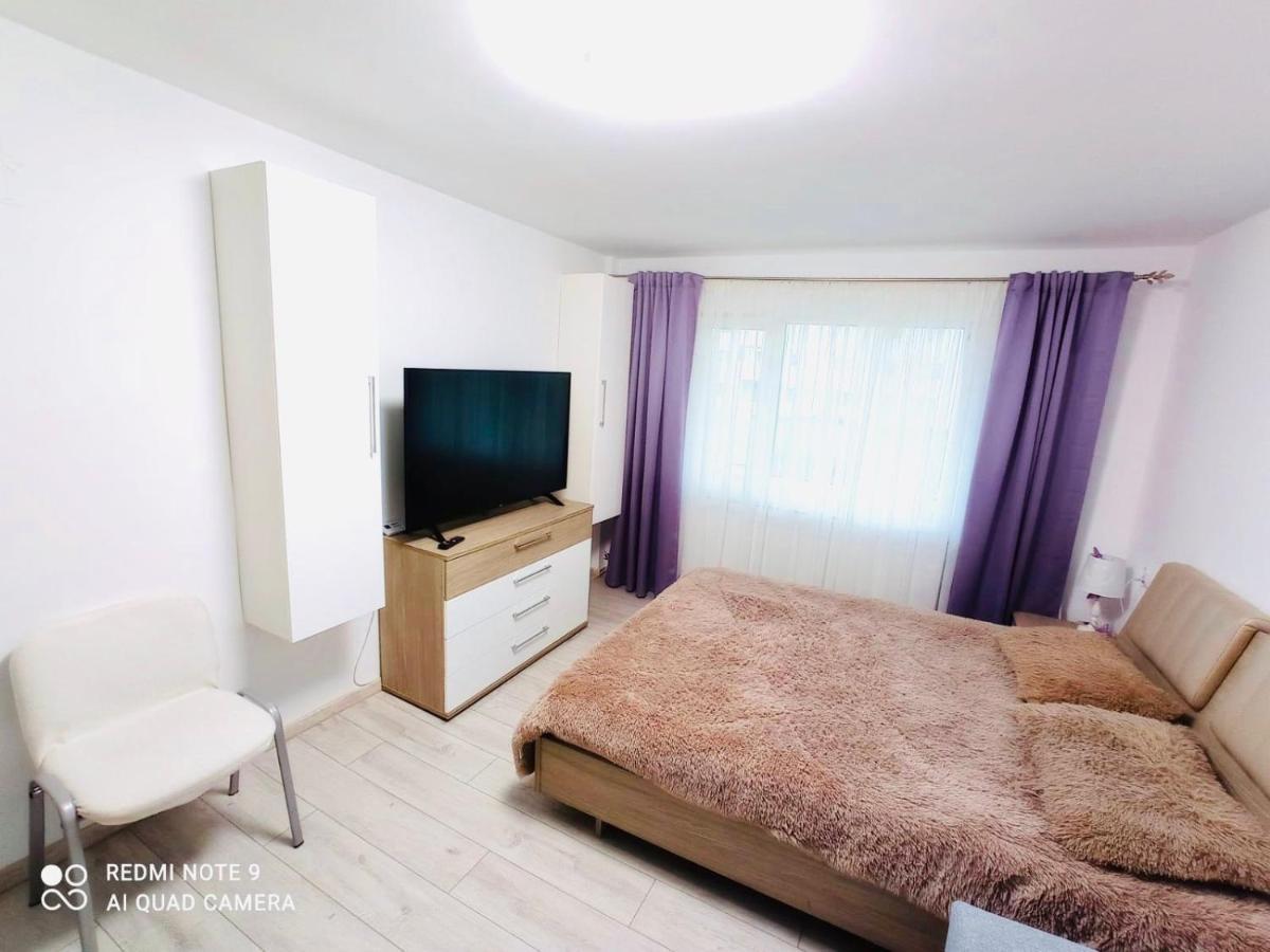 Апартаменты Garsoniera Daniela Тыргу-Окна Экстерьер фото